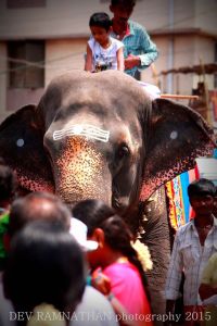 11174648_10206703879065653_2282256929763673483_o